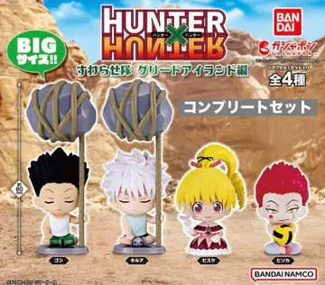 HUNTER x HUNTER 스와라세타이 G.I.편 컴플리트 세트