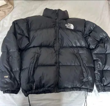 THE NORTH FACE 다운