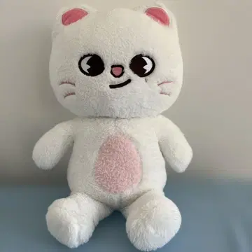 StrayKids 테디베어 지니렛