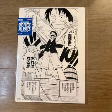 원피스 베이스샵 한정판 ONE PIECE ALL PAGES 루피