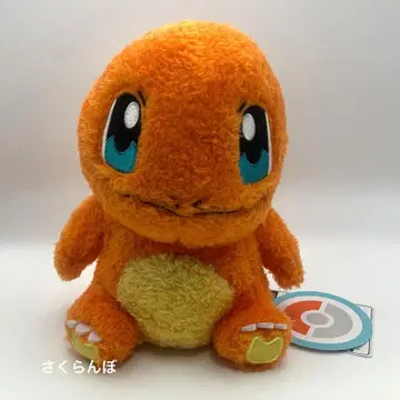 포켓몬 복슬복슬 쁘띠 히토카게