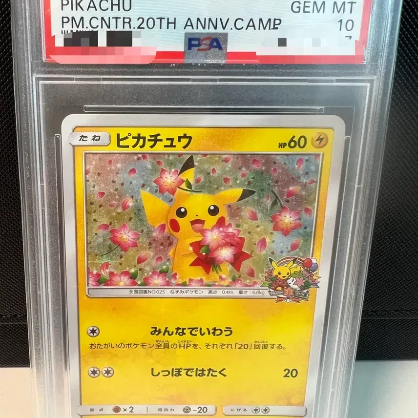 포켓몬 카드 피카츄 꽃카츄 20주년 PSA 10