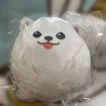 기븐 바다로 카푸코후렌즈 보풀 점포 한정판