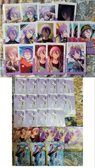 프로세카 카미시로 루이