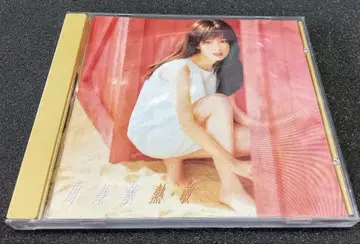 비비안 초우 주혜민 열민 CD