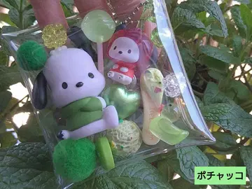 포차코 가챠 채움 파우치