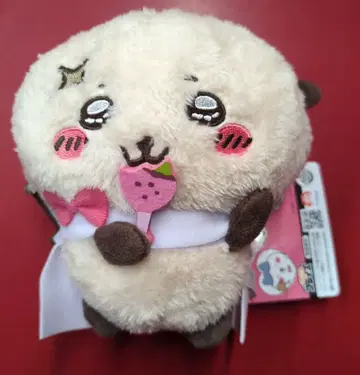 후류 랏코와 함께 봉제 인형 치이카와 (먼작귀) 랏코