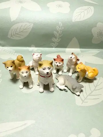 강아지 가챠가챠 묶음 판매