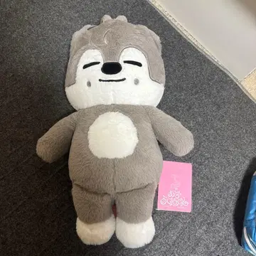 straykids 스키즈 테디베어 SKZOO 울프찬 teddy