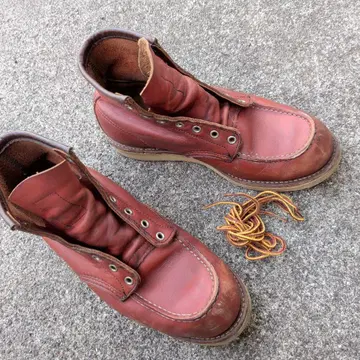 REDWING 아이리쉬 세터 8875