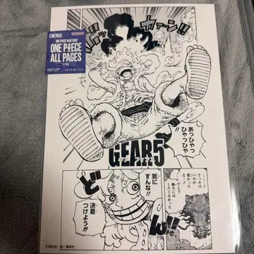 원피스 ONE PIECE 올 페이지 니카 기어5 와노쿠니 카이도