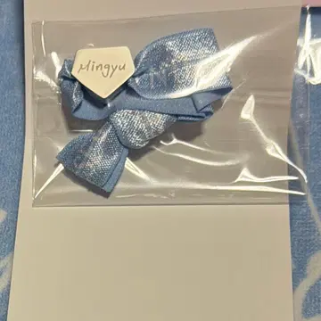 팔찌