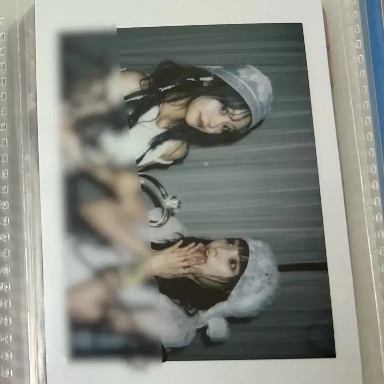 QWER Chodan sign polaroid #QWER쵸단,#쵸단싸인,#쵸단폴라로이드