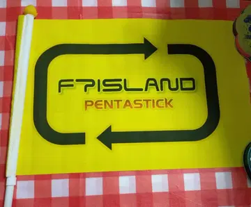 ftisland 깃발 펜타스틱