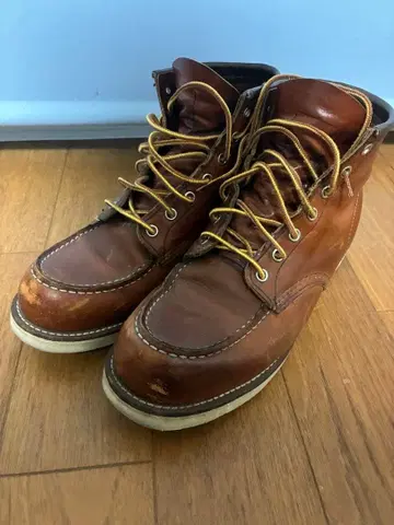레드윙 875 아이리쉬 세터 27cm