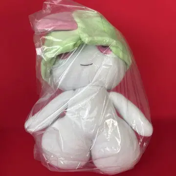 말랑말랑 봉제 인형 라르토스 포켓몬 센터 한정판 피카피카 박스 대형