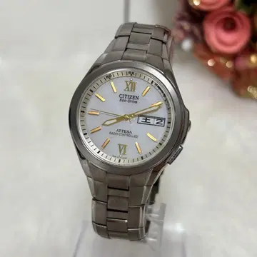 [레어] CITIZEN 아테사 에코드라이브 솔라 티타늄 데이데이트