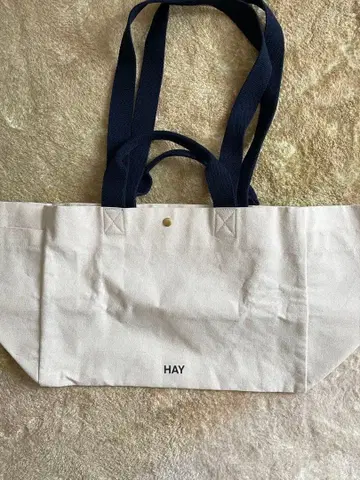 HAY 위켄드 백