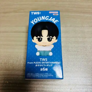 [미사용 새상품!] TWS 오스와리 피규어 YOUNGJAE 영재