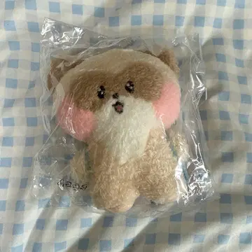 장하오 하니니 zb1 zeroni 메시지 봉제 인형 키링