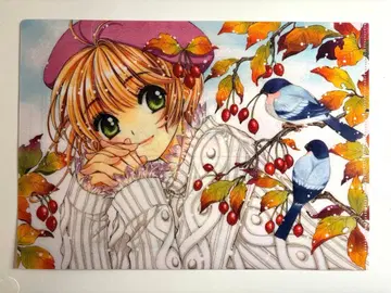 카드캡터 사쿠라 A4 클리어 파일 CLAMP 화업 30주년