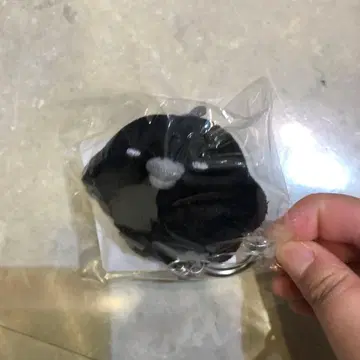 리락쿠마 스토어 한정판 봉제 인형 키이로이토리