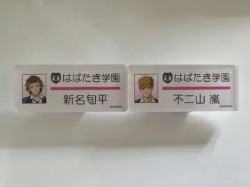 후지야마 아라시 니이슌페이 명찰 네임플레이트 두근두근 메모리얼 gs