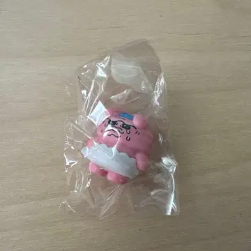 *한국 한정판* 빤쮸토끼 랜덤 피규어