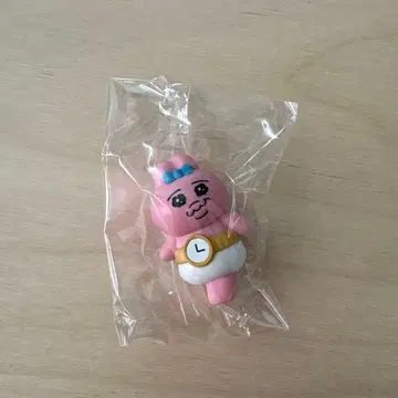 *한국 한정판* 빤쮸토끼 랜덤 피규어