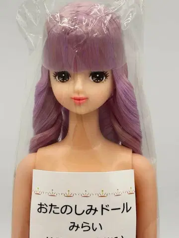 미라이 리카짱 캐슬 오타노시미 인형 연보라 계열 헤어 제니 프렌드