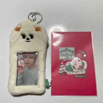 T x T 봄규 PPLUBATU 포토 카드 홀더 엽서 포함