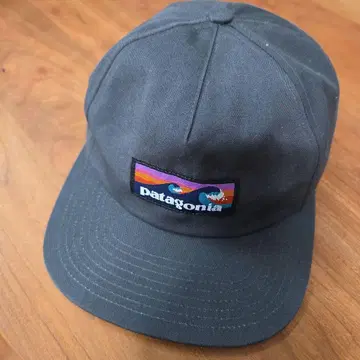 Patagonia 야구 모자 그레이