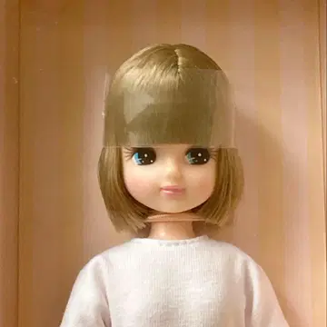 리카짱 캐슬 캐슬 컬렉션 9 리카짱