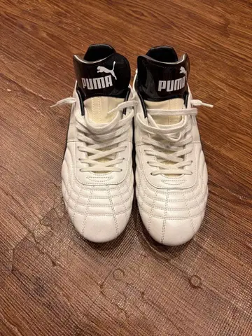 PARAMEXICO 푸마 27.5