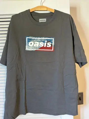 [ 새상품 ] oasis live '25 T셔츠 XL 그레이 후지산