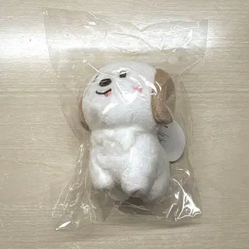 RIIZE 앤톤 몽룡이