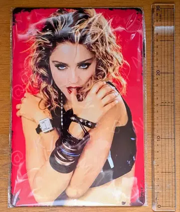 마돈나 Madonna A4 브리키판 패널 포스터