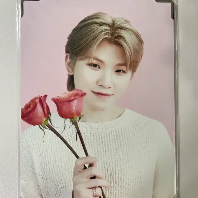 세븐틴 우지 카페 프리미엄 포토 및 헹가래 포토북