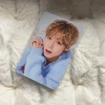 박지훈 md 생일 트레이딩 카드