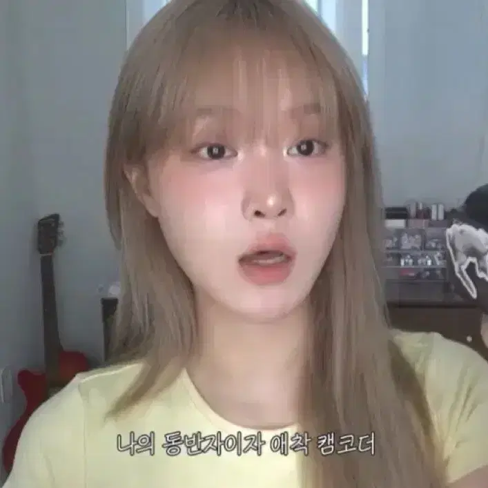 구효민 카메라 소니 hdr-cx560