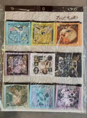 이브이 컬렉션 월 포켓 Eevee Collection