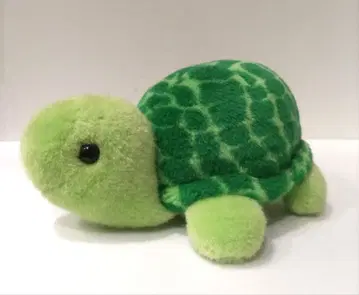 ALFA 알파 봉제 인형 거북이 녹색 거북이