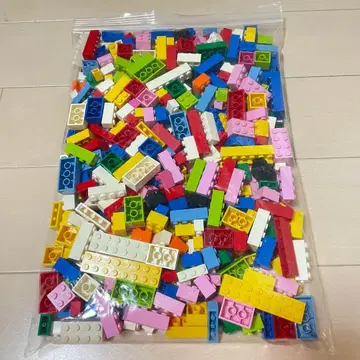 LEGO 블록 장미 651g 다색
