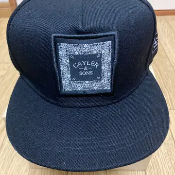 CAYLER & SONS 블랙 페이즐리 야구 모자