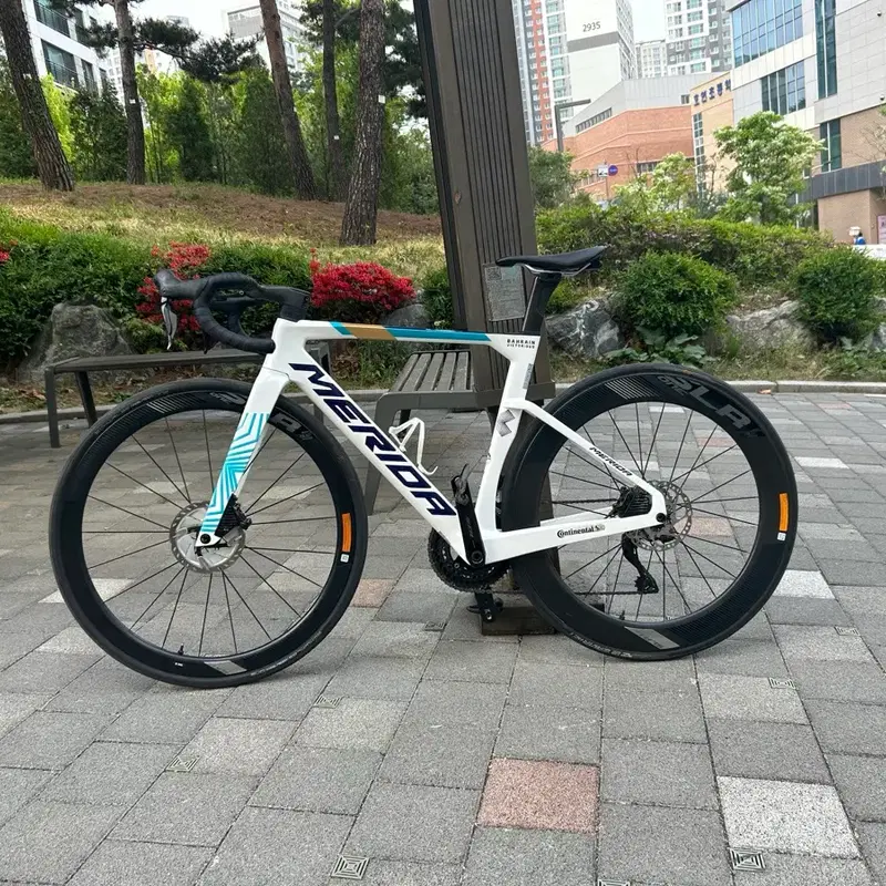 메리다 리엑토6000