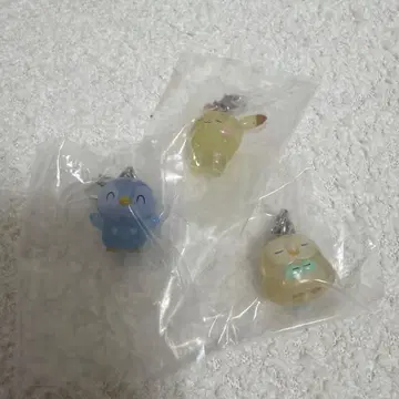 포켓몬 포피스 메지루시 액세서리 피카츄 팽도리 모쿠로