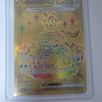 포켓몬 테라파고스ex sv8a 237 UR 카드