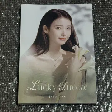 IU J.estina 홍보용 팜플렛