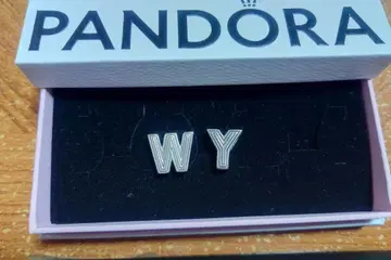 판도라 리플렉션즈 알파벳 참 WY 세트 판도라