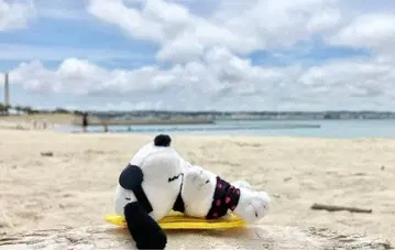 스누피 서프샵 카라비너 오키나와 나하 챠탄